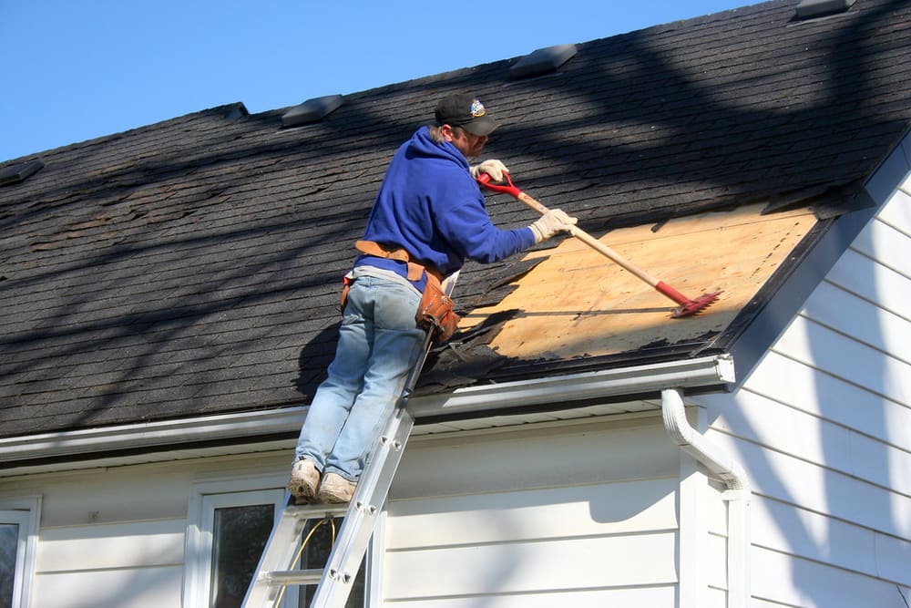 Roofer ladder prepared for roof access
